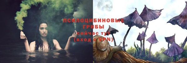альфа пвп Новокубанск