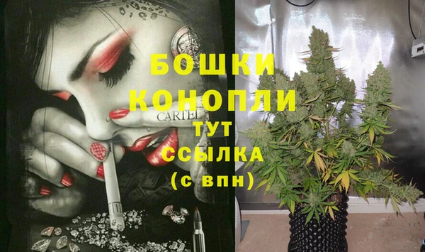 МДПВ Новодвинск